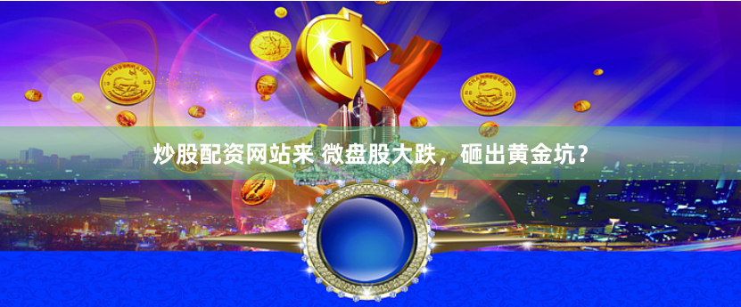 炒股配资网站来 微盘股大跌，砸出黄金坑？