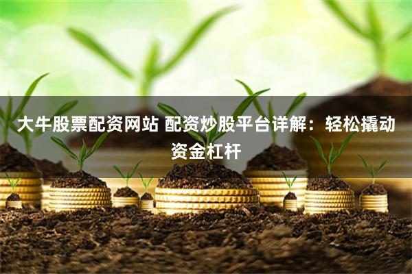大牛股票配资网站 配资炒股平台详解：轻松撬动资金杠杆