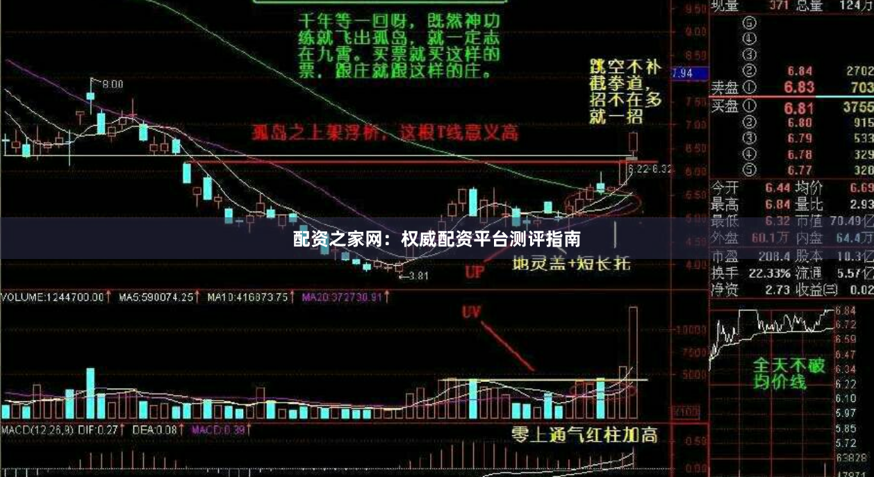 配资之家网：权威配资平台测评指南