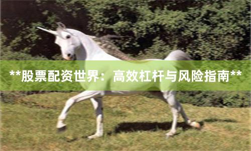 **股票配资世界：高效杠杆与风险指南**